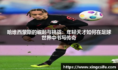 星空·综合体育中国官方网站