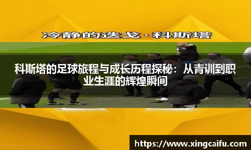 星空·综合体育官方网站